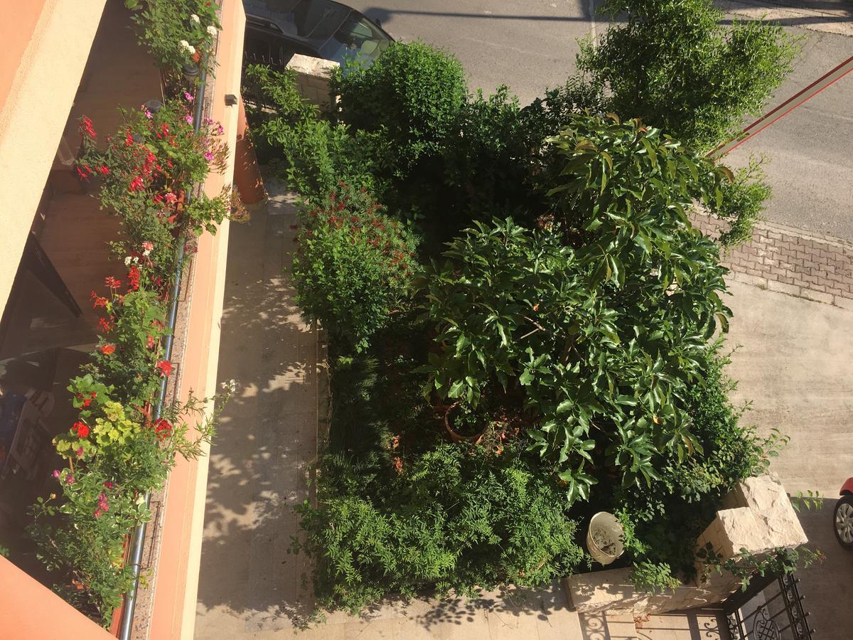 Apartments Zvicer - Milica บุดวา ภายนอก รูปภาพ